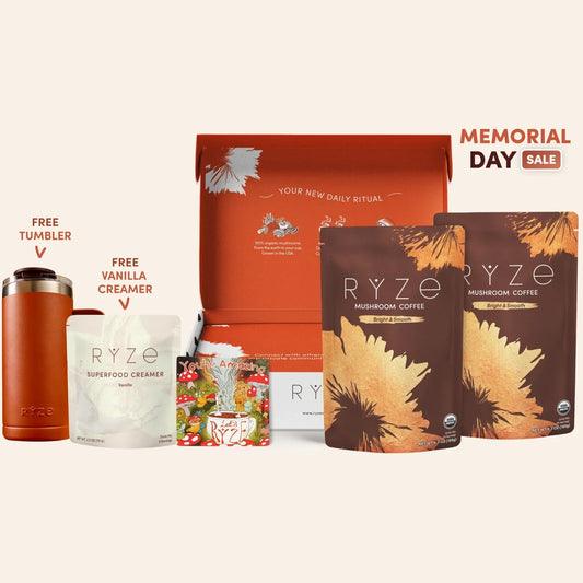 Mushroom Coffee Starter Kit 60 Serving