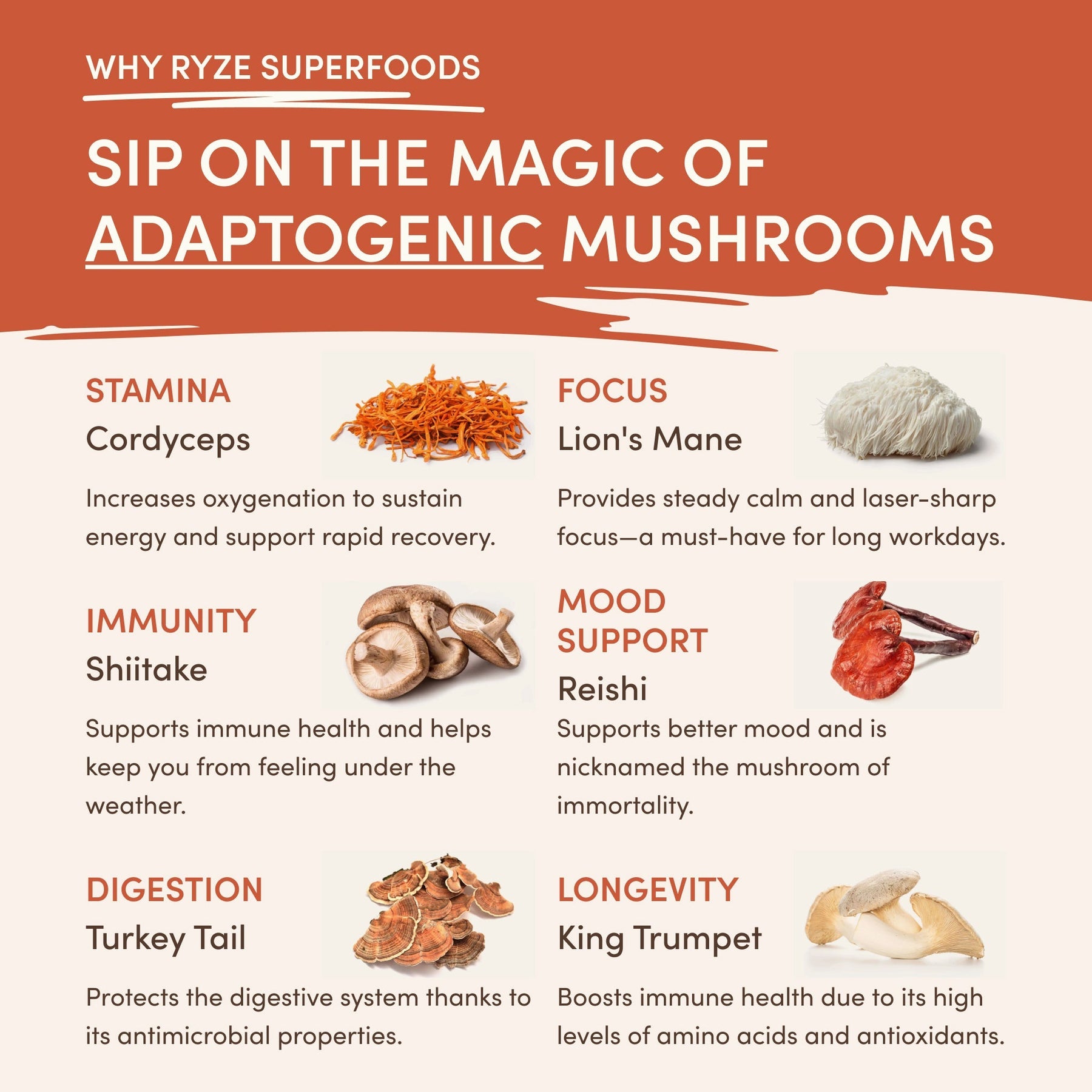 Superfood Creamer Add-on (SPECIAL PRICING)
